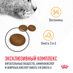 Сухой корм для кошек Royal Canin Hair & Skin Care (Роял Канин Хайбал энд скин кэа) для поддержания здоровья кожи и шерсти 400 г