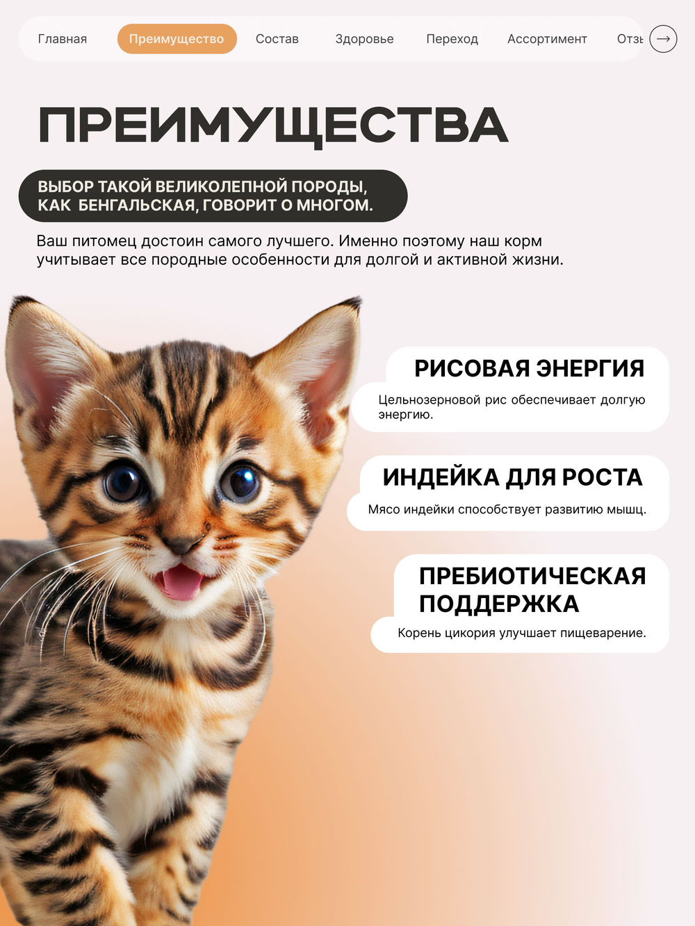 Корм сухой для котят породы Бенгальская, с индейкой, 400 гр, QUATTRO