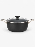 Кастрюля с крышкой TVS Cooking Deluxe Induction 24 см, 4 л