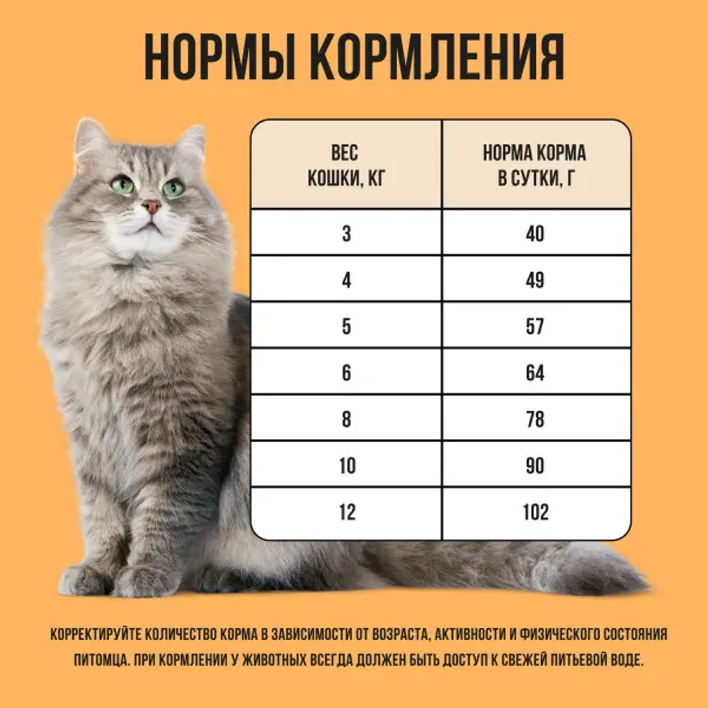 Bowl wow корм сухой для взрослых кошек с чувствительным пищеварением: индейка, курица, тыква
