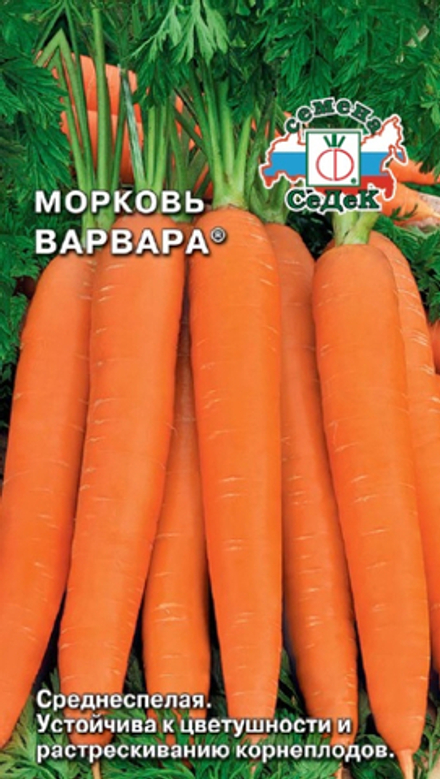 Морковь Варвара  2гр Седек