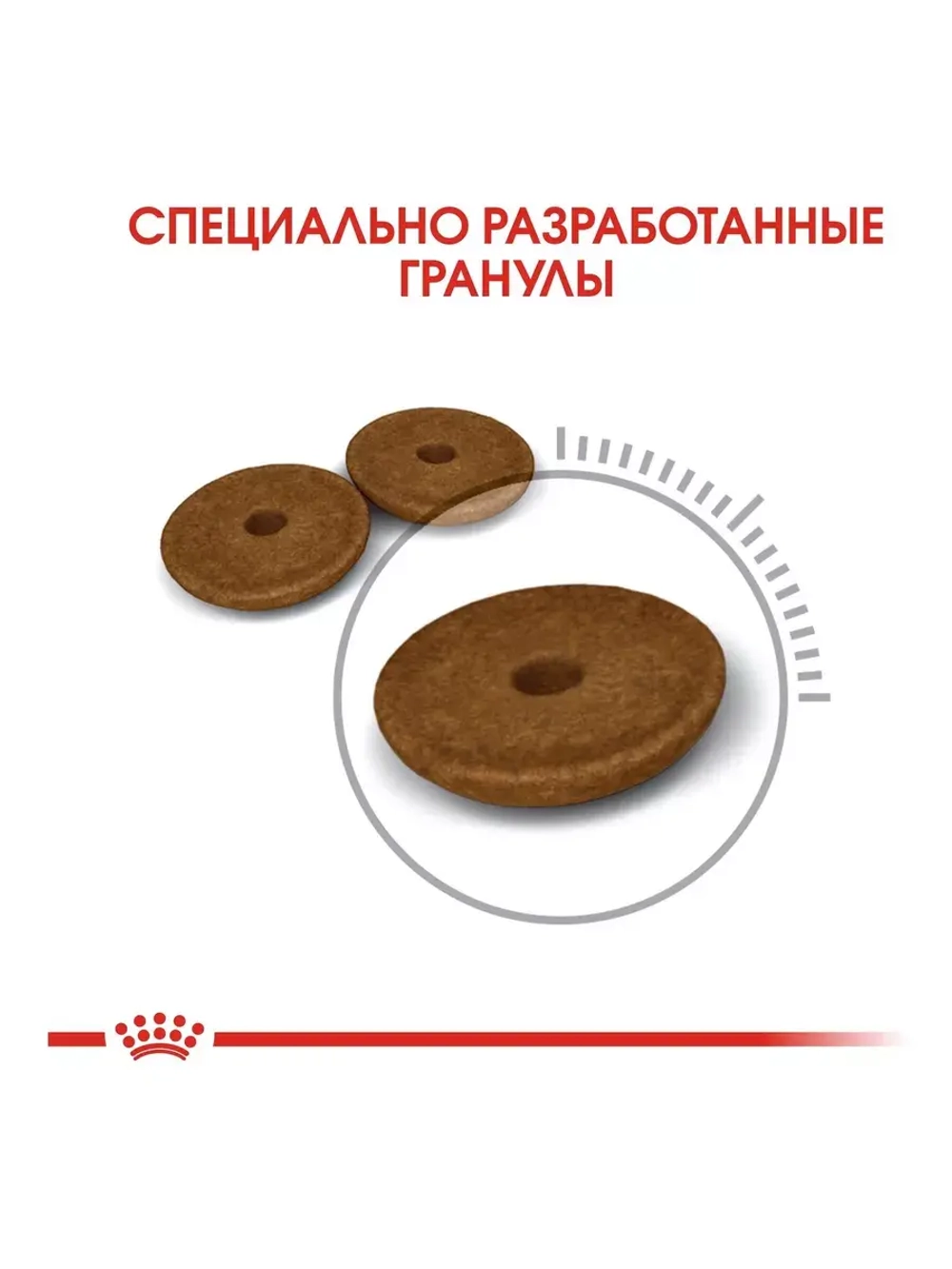 Royal Canin Digestive Care (Роял Канин Дайджетивс) сухой корм для взрослых кошек для поддержания здоровья пищеварительной системы 10 кг