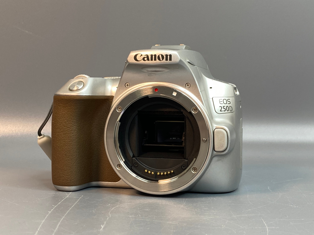Canon 250D Kit 18-55mm STM 16.000 кадров