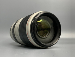 Canon 100-400mm IS II USM Пыль под линзой