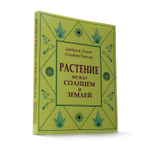 Растение между солнцем и землей
