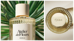 Парфюмерная вода Chloé Atelier des Fleurs Cedrus 50 мл Оригинал