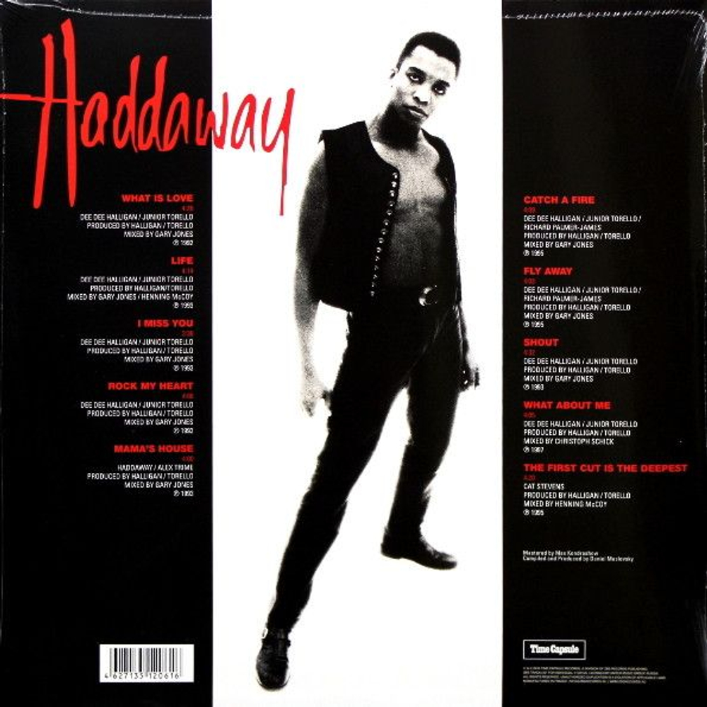 Haddaway — What Is Love? The Singles Of The 90s (LP)