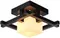 Потолочный светильник Woods A8252PL-1CK Arte Lamp
