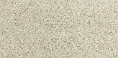 Керамогранит Bloom Print Beige 80x160
