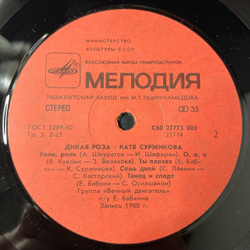 Винтажная виниловая пластинка LP Катя Суржикова Дикая Роза (СССР 1989)