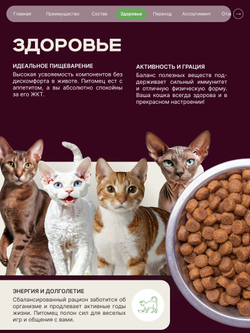 Корм сухой для кошек породы Сфинкс, с ягненком, 5 кг, QUATTRO