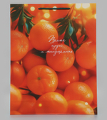 Пакет подарочный «Время чудес и мандаринок», 33×10×42.5 см