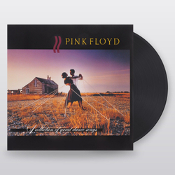 PINK FLOYD A Collection Of Great Dance Songs (Винил)