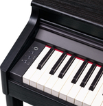 Roland RP701-CB