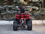 Комплект запчастей (Машинокомплект) для сборки квадроцикла Lion 125 A красный