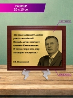 Плакетка сувенирная "Жириновский".