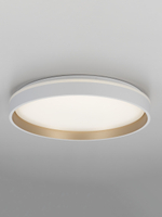 Потолочный светодиодный светильник Citilux Enzo CL753450G