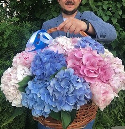 Корзина с гортензией Счастье