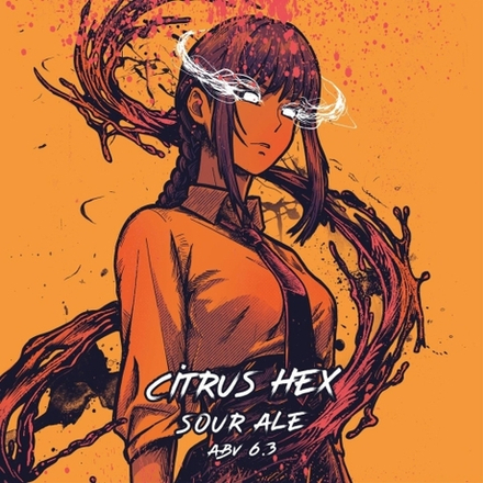 Пиво Селфмэйд Цитрус Хекс / Selfmade Citrus Hex 20л - кег