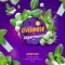 Overdose - Expertmint (100г)