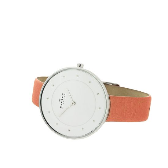 Наручные часы Skagen SKW2135