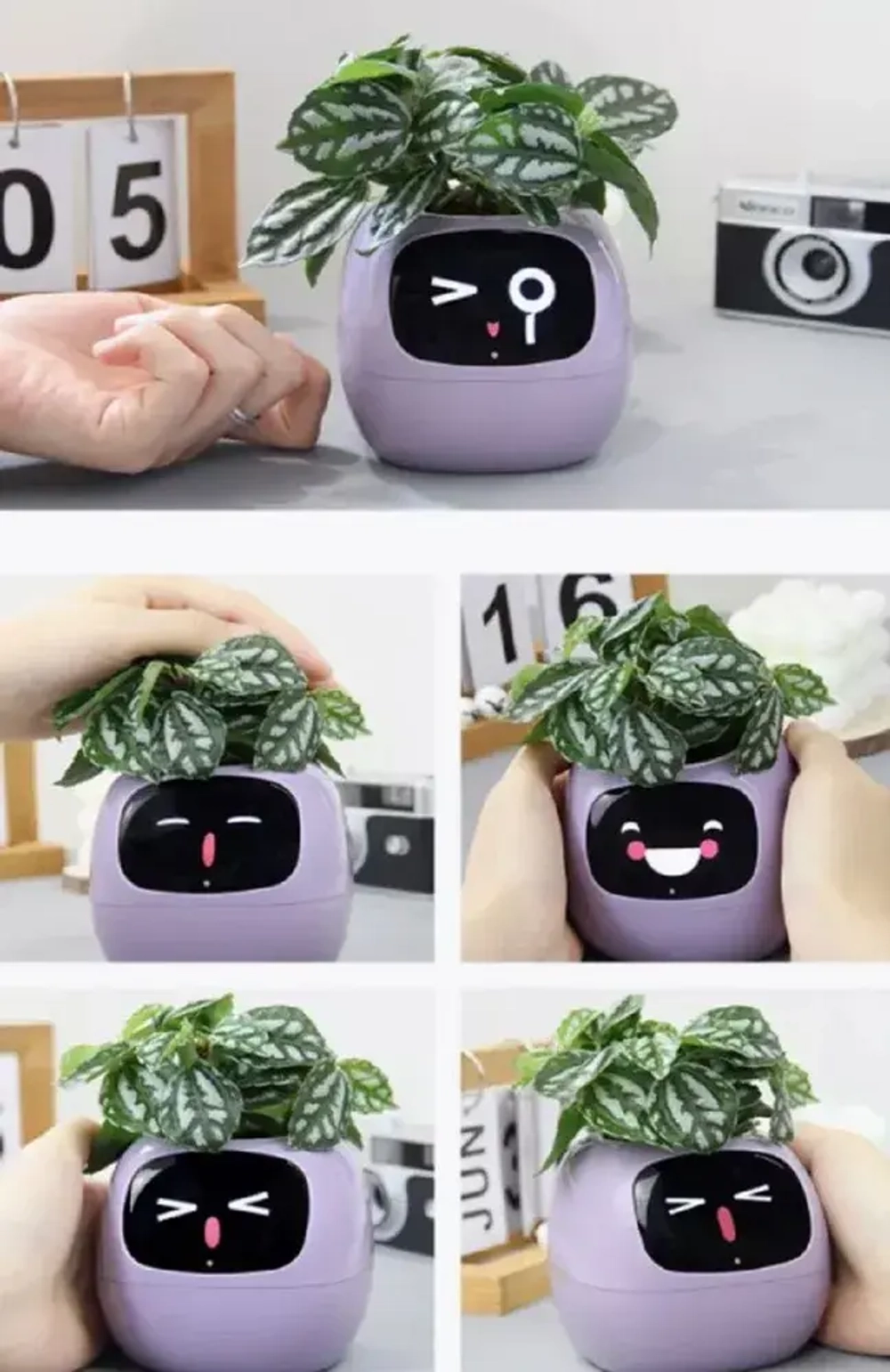 Умный цветочный горшок PLANTSIO Ivy с системой автополива