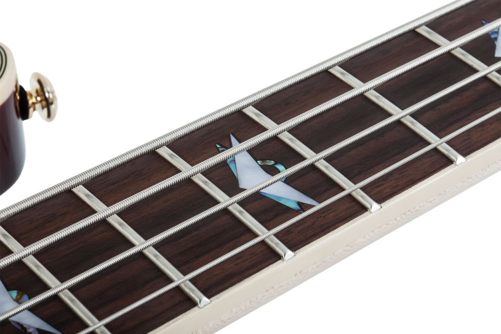 Schecter OMEN EXTREME-4 GLOSS NATURAL ASH