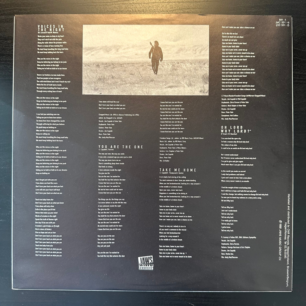 Jim Capaldi - Some Come Running (Голландия 1988г.)