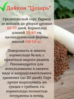 Семена Дайкон набор