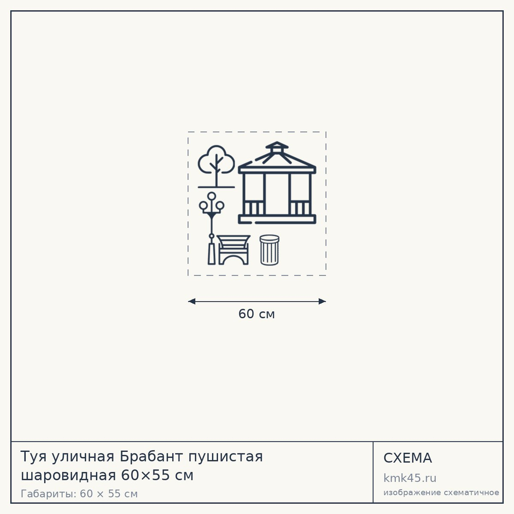 Туя уличная Брабант пушистая шаровидная 60×55 см — от 6 100 ₽