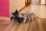 Механический Дикий Кот от Eco Wood Art (EWA) - Деревянный конструктор, сборная механическая модель, 3D Пазл