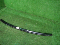 DSCN7831.JPG