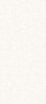 BVLGARI (CREAMY WHITE)