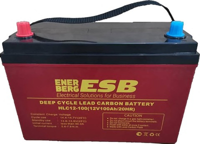 Тяговая аккумуляторная батарея ESB HLC12-100