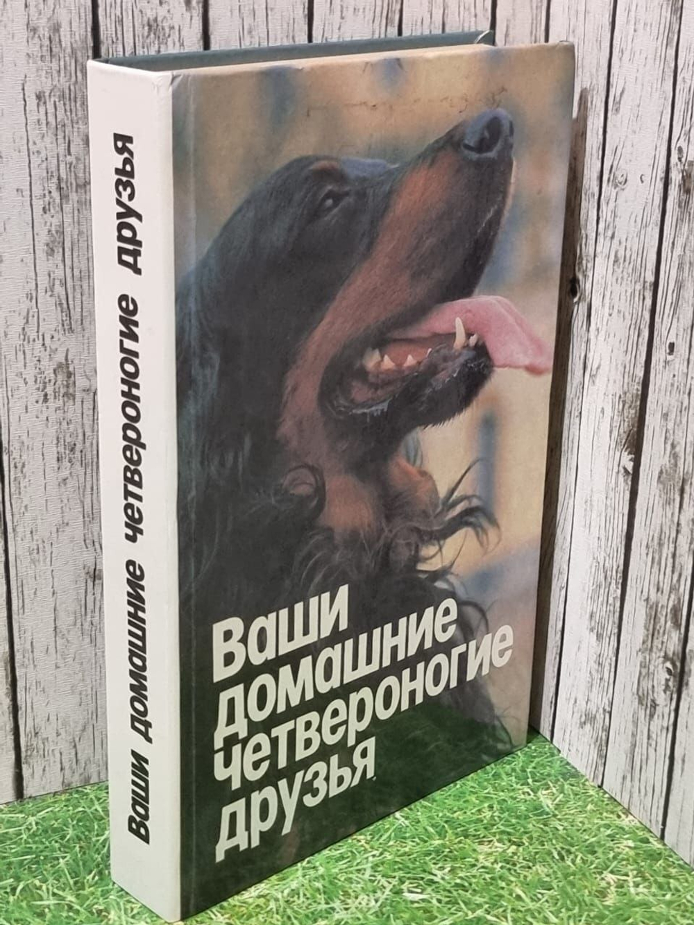 Ваши домашние четвероногие друзья