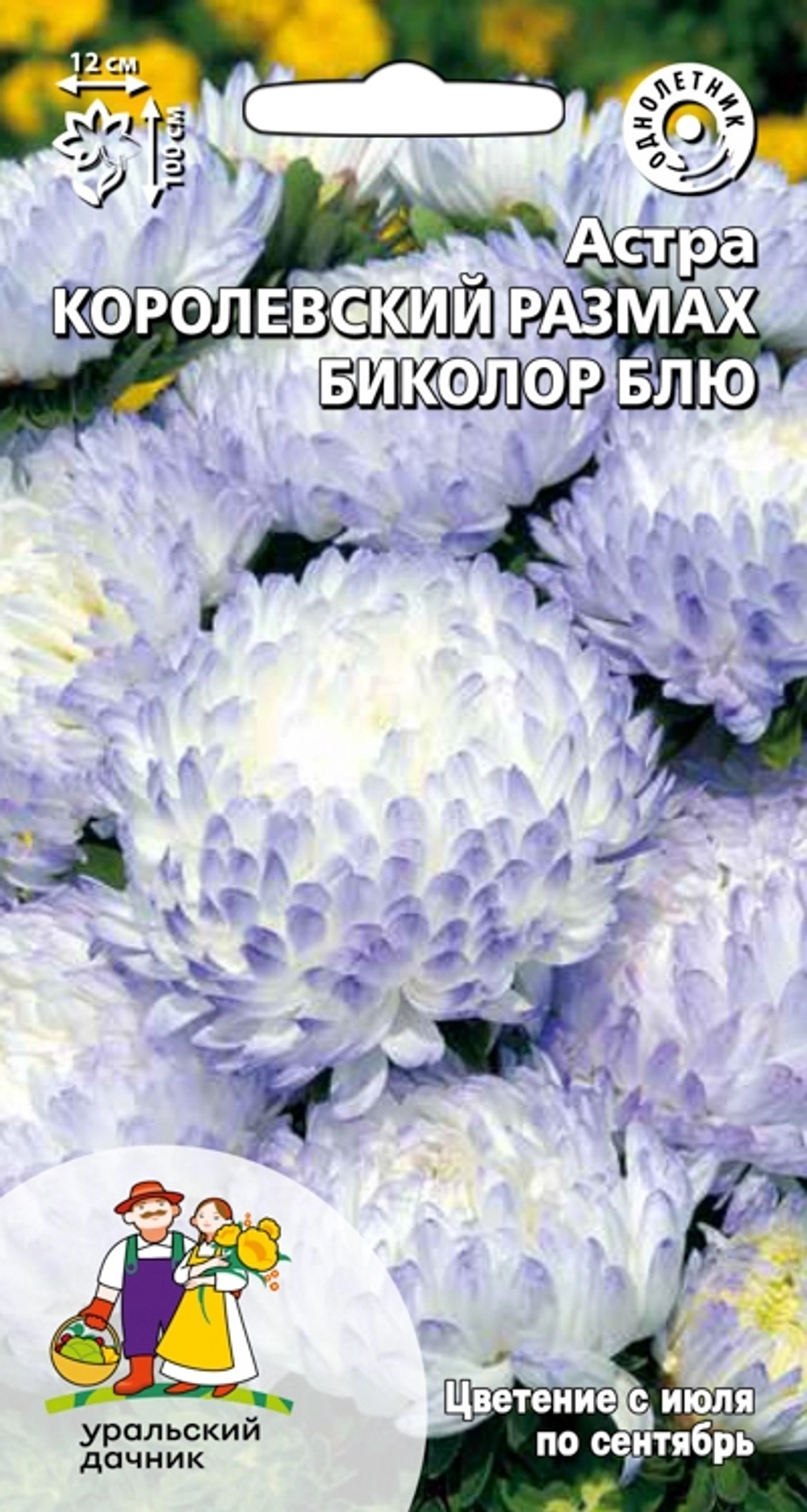 Семена Астра Королевский размах биколор блю (УД) Е/П