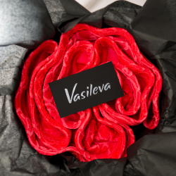 vasileva dance