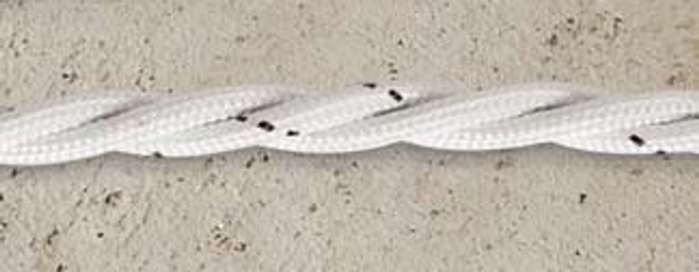 Treccia in cotone LAR.138.06/CONF