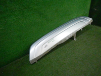 DSCN9565.JPG