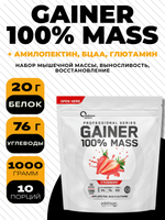100% Mass Gainer