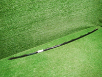 DSCN3787.JPG
