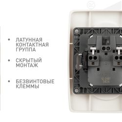 Розетка ЭРА Серия 12 12-2107-02 двойная без заземления 2X2P 16A-250В IP20 слоновая кость | Эра 12