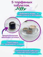 Семена Эустома Блю Рим белая с фиолетовым + торфяные таблетки Jiffy, 5шт, набор для выращивания