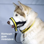 Недоуздок корректор поведения Спорт (Халти) для собак
