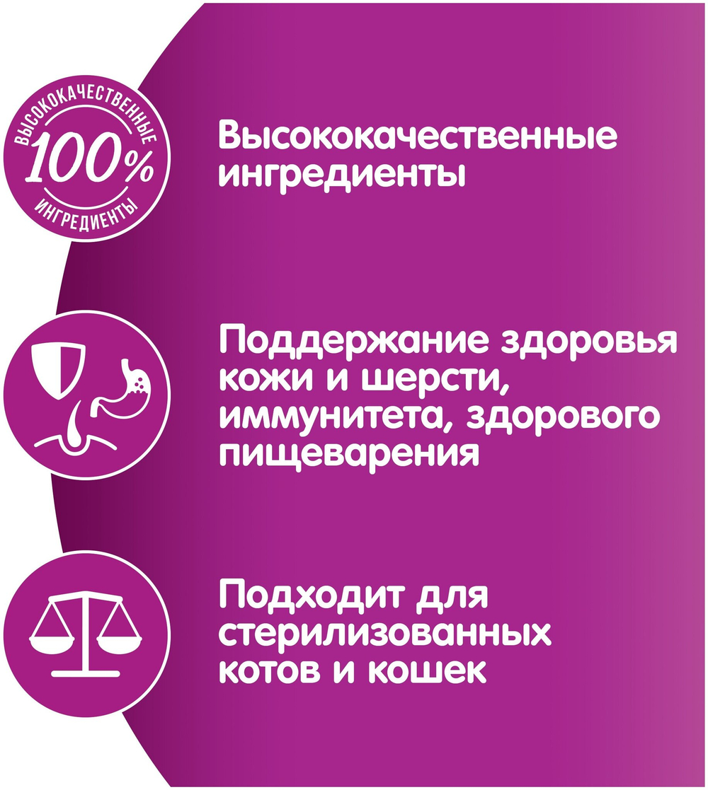 ВИСКАС РАГУ КУРИЦА 75Г