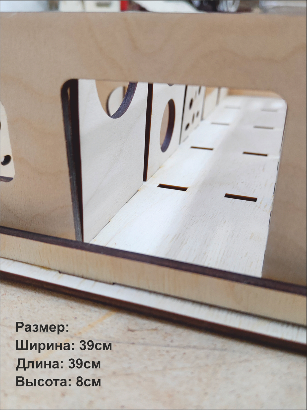 Лабиринт для хомячка, грызуна