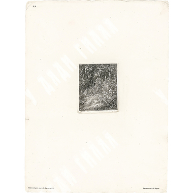 Шишкин И. И. Лесные цветы. Бумага, офорт. 1873.