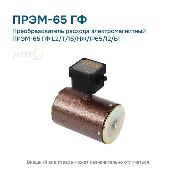 Преобразователь расхода электромагнитный ПРЭМ-65 ГФ L2/T/16/НЖ/IP65/12/B1