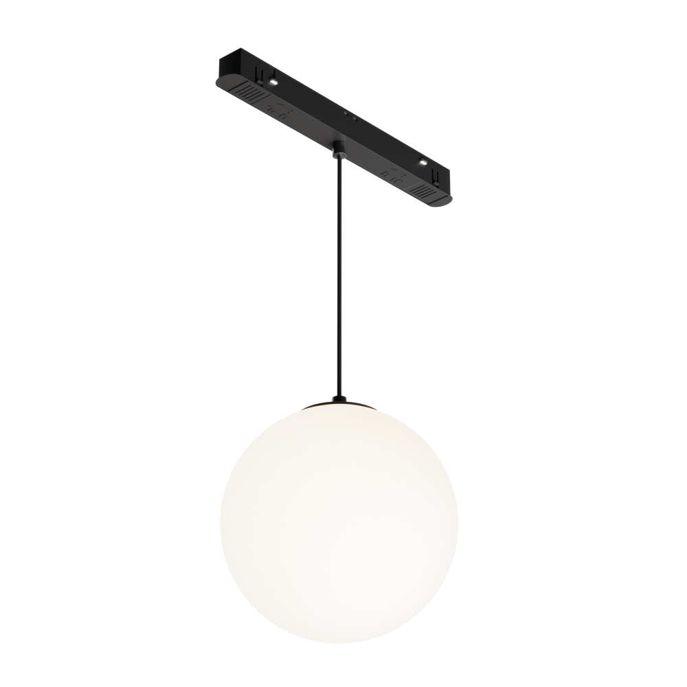 Магнитный трековый светильник Maytoni Luna TR039-2-5W4K