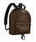 Рюкзак Louis Vuitton Palm Springs PM коричневый